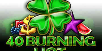 Slot Brand Image for 40 Burning Hot